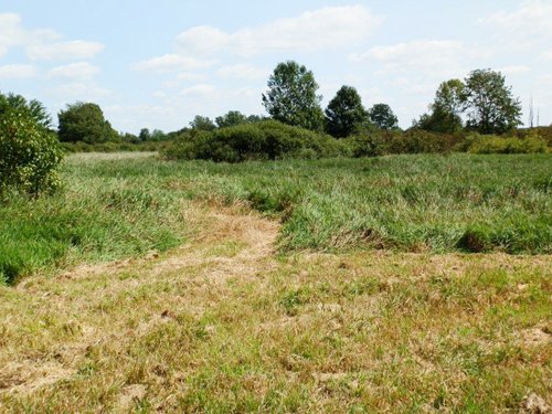 Property photo 2 - 63.5 +/- Acres Offered in 3 Tracts - Real Estate Auction